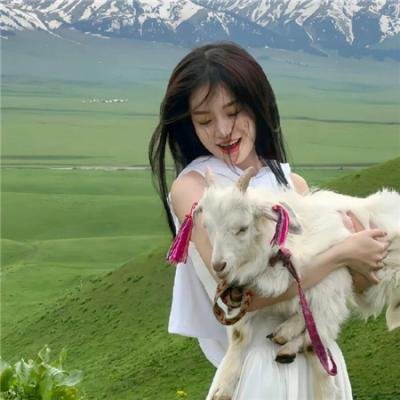 点点蠢事